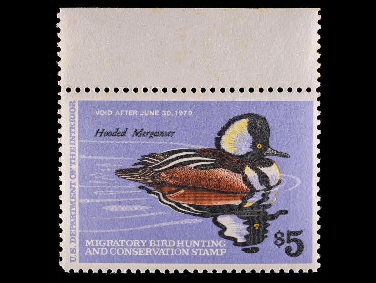 #RW45 1978 $5 Federal Duck Stamp, Hooded Merganser, Top Margin, Unused, NH