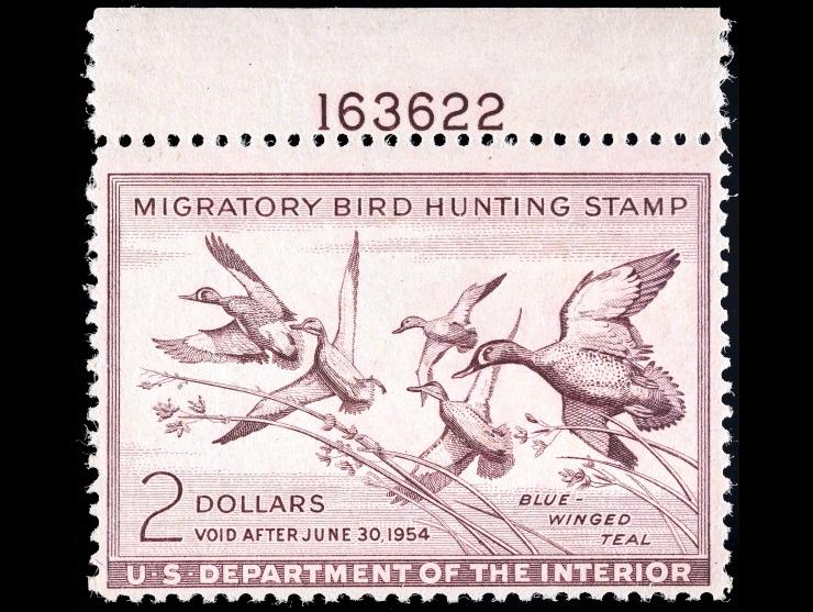 #RW20 Federal Duck Stamp, 1953 $2 Blue-winged Teals, Unused, NH
